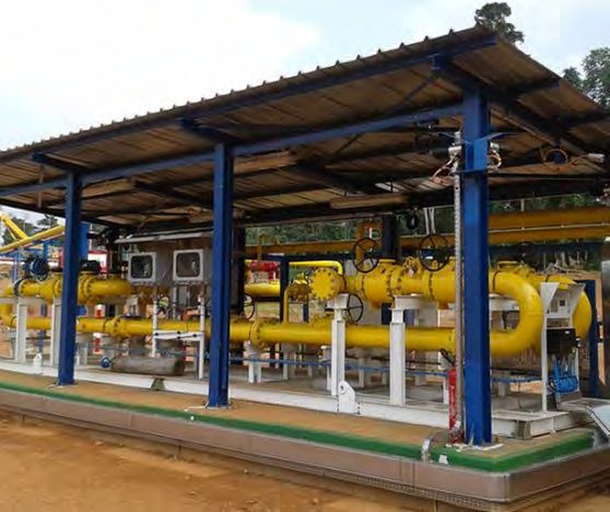 Plant Piping Networks